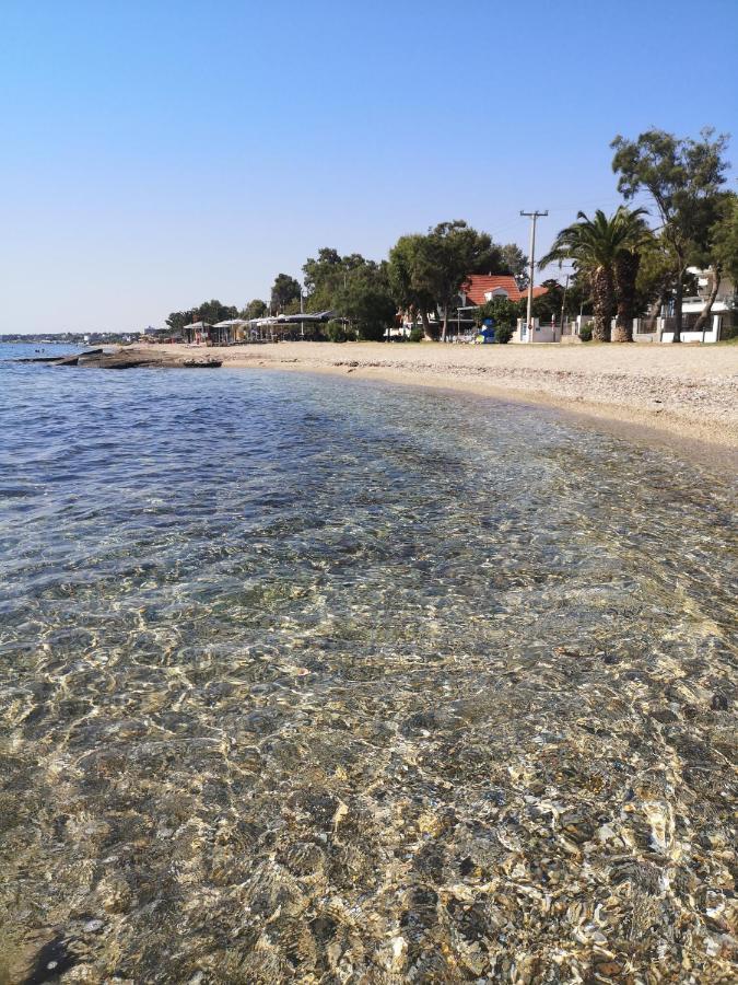 Aegean Sea Home Nea Makri Bagian luar foto